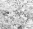 bspline/seatB/grey_extract/gr_12.jpg