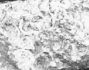 bspline/seatB/grey_extract/gr_15.jpg