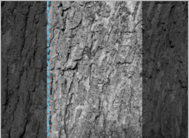 bspline/seatD/photodim/after_x_whole.png