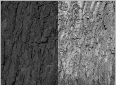 bspline/seatD/photodim/before_x_squeeze.png